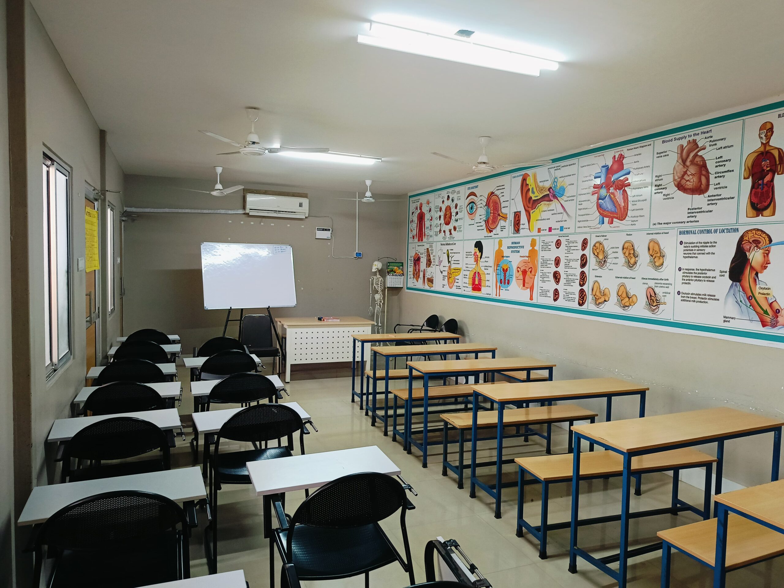 Modern Classrooms