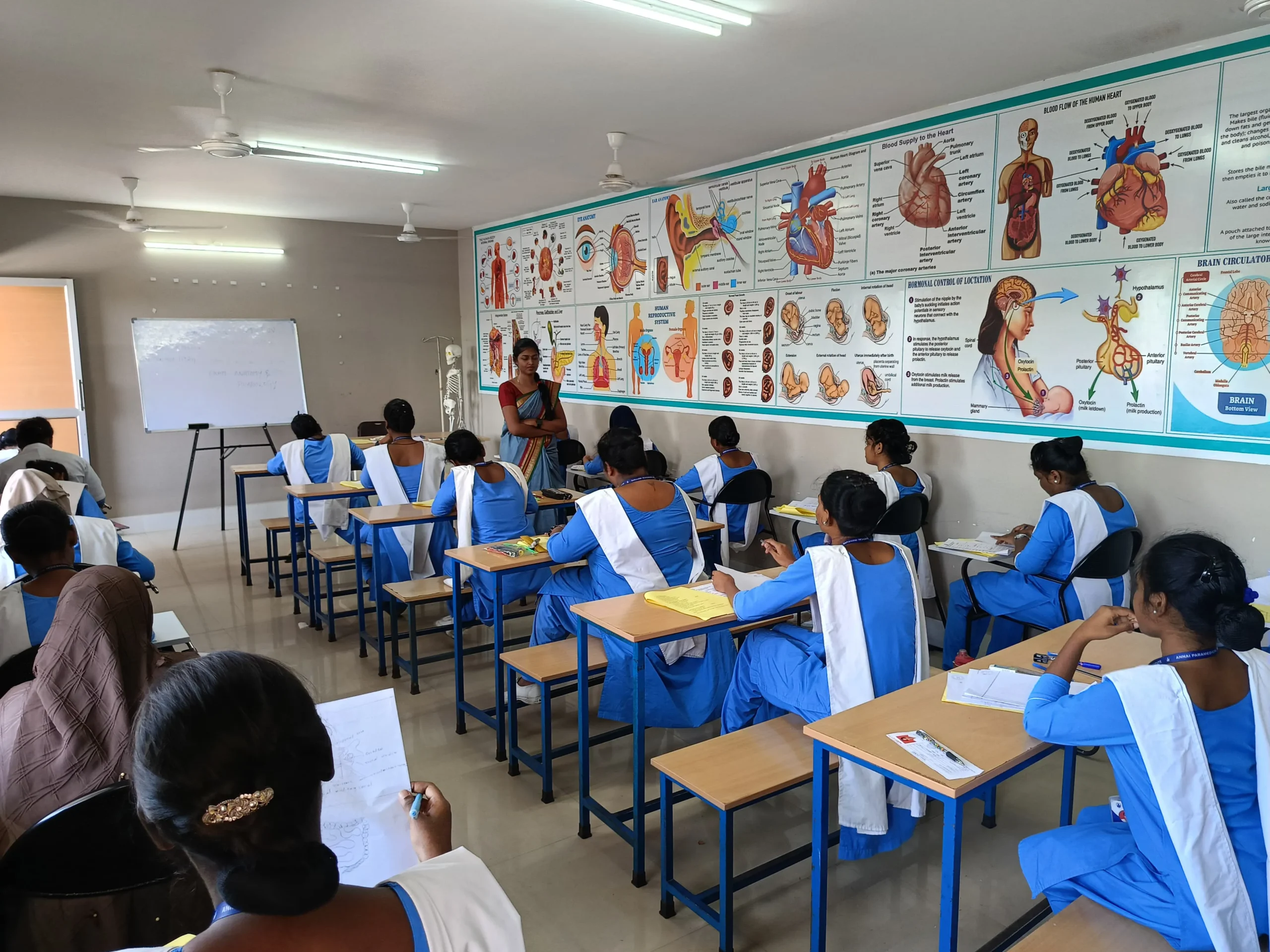 Diploma Courses